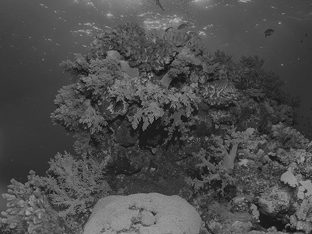 underwater UAV